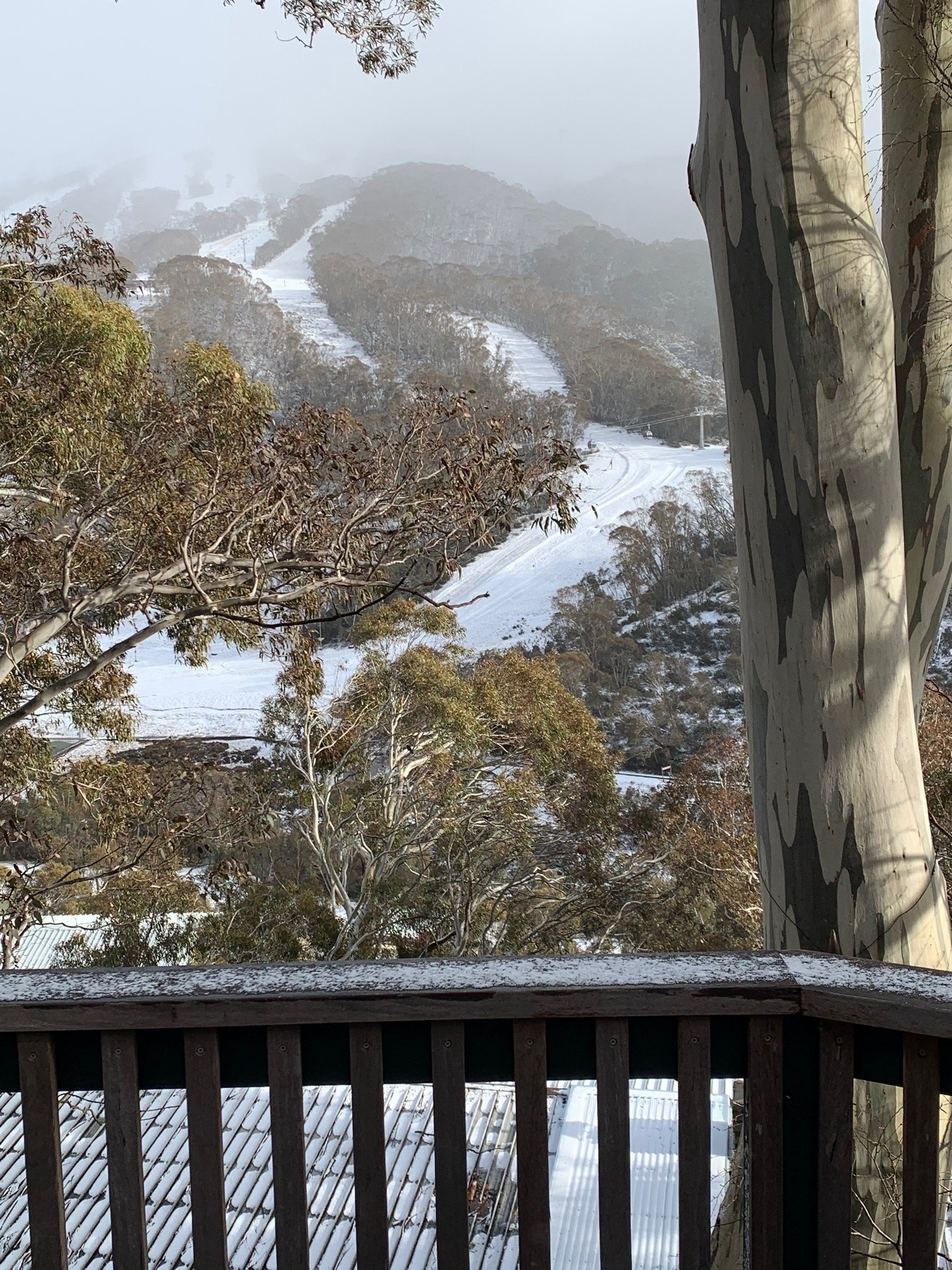 Pure Chalet-官方