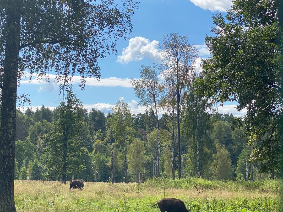 The Bison Breeding Centre景点图片