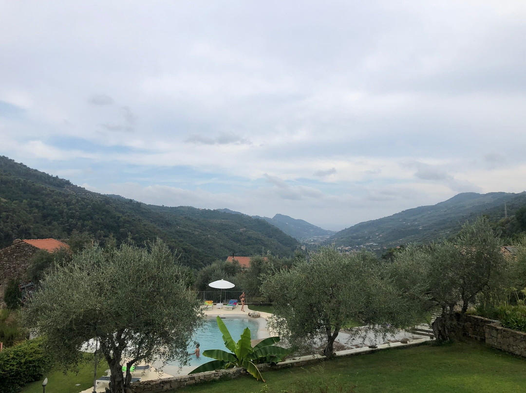 La Cicala Stonata主图