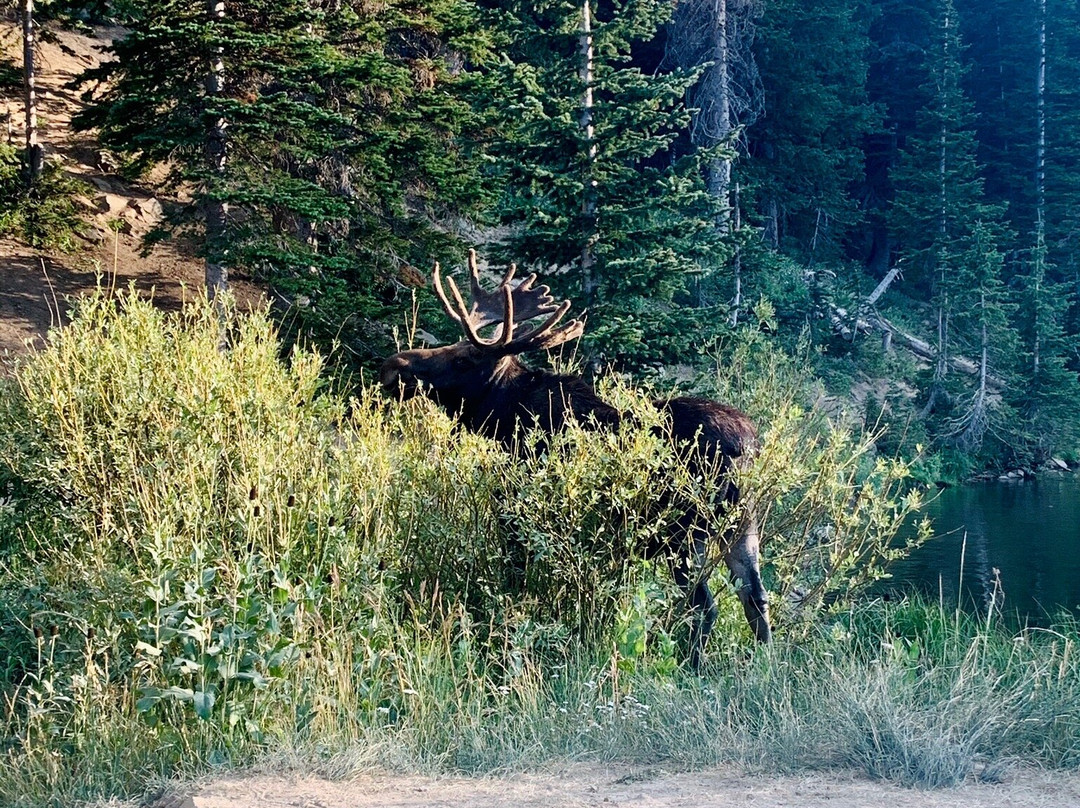 Guardsman Pass Scenic Backway-帕克城必去景点