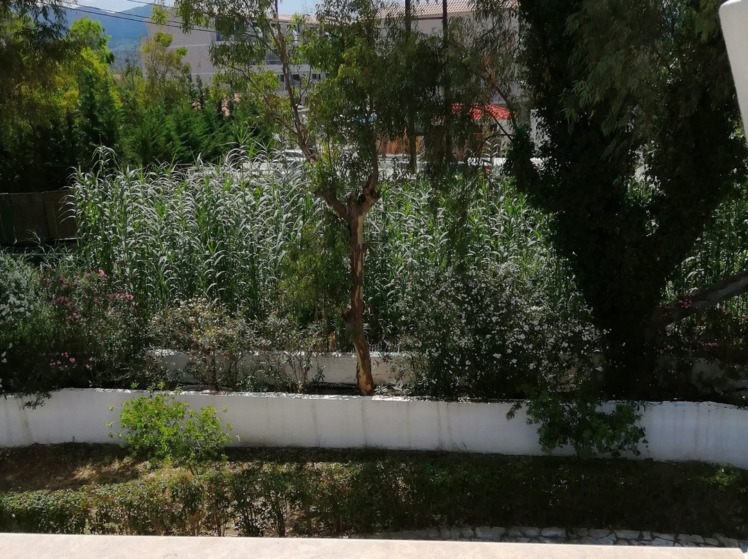 Angela Beach Corfu Hotel & Apartments主图