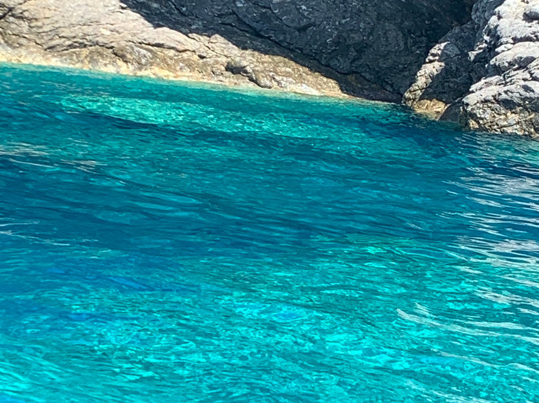 Baiarda Dive Boat Excursions景点图片