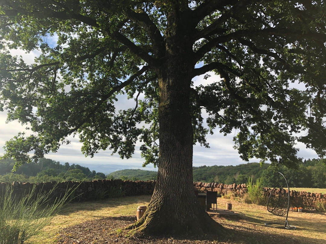 La Douce France主图