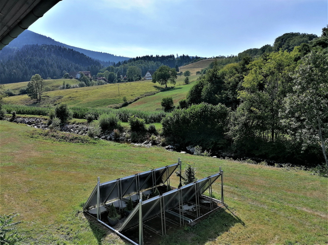 Hotel & Café Mühlenglück主图