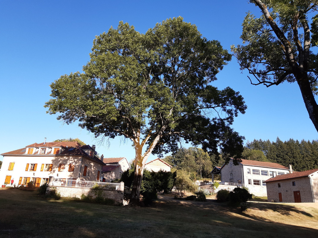 Domaine de Montvianeix主图