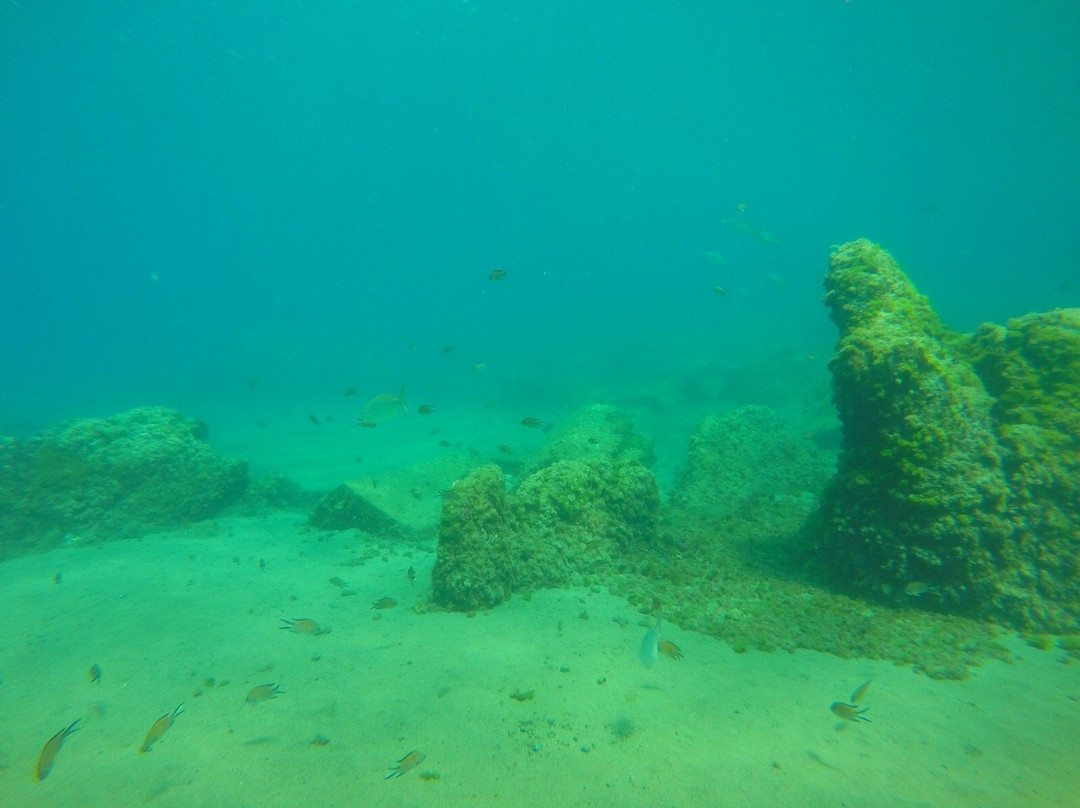 Active Scuba Divers-科斯塔特吉塞必去景点
