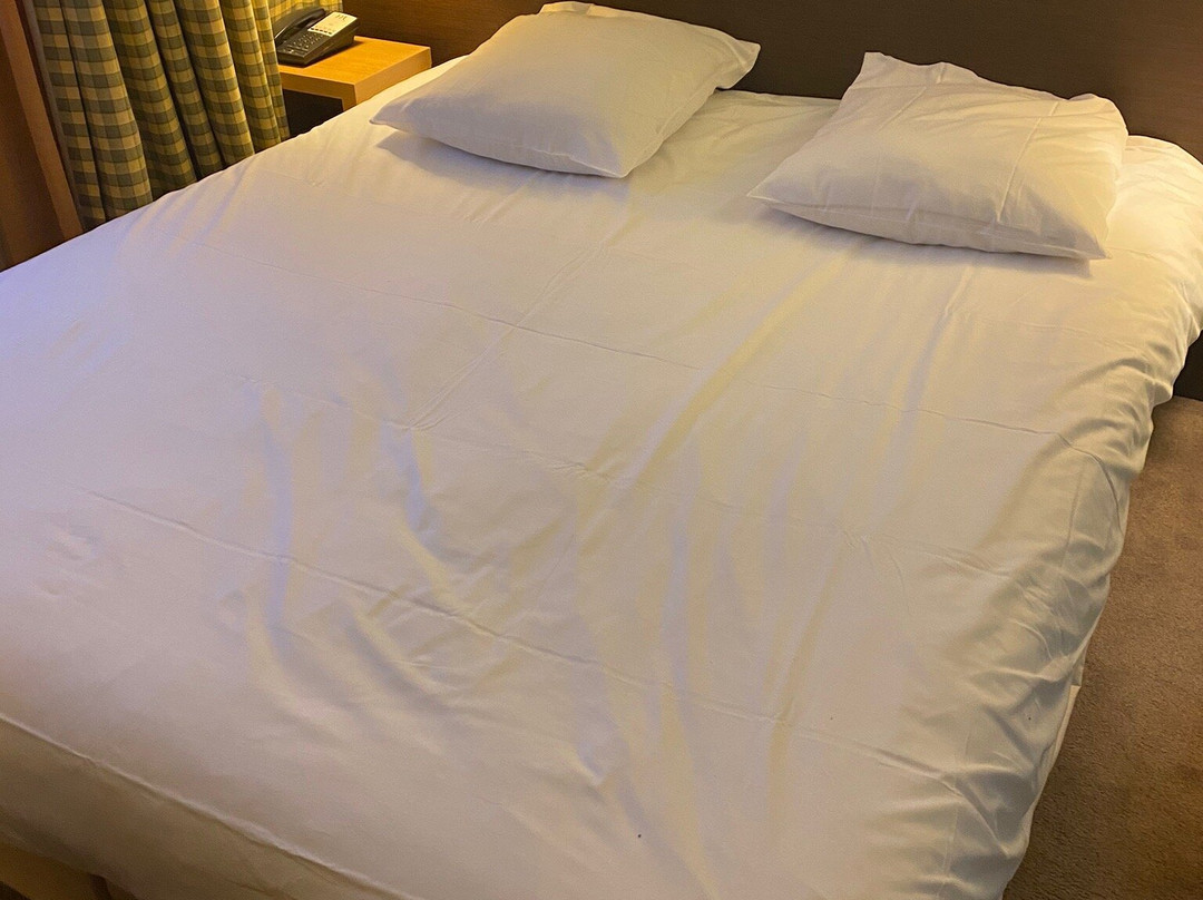 Seilh旅游攻略图片