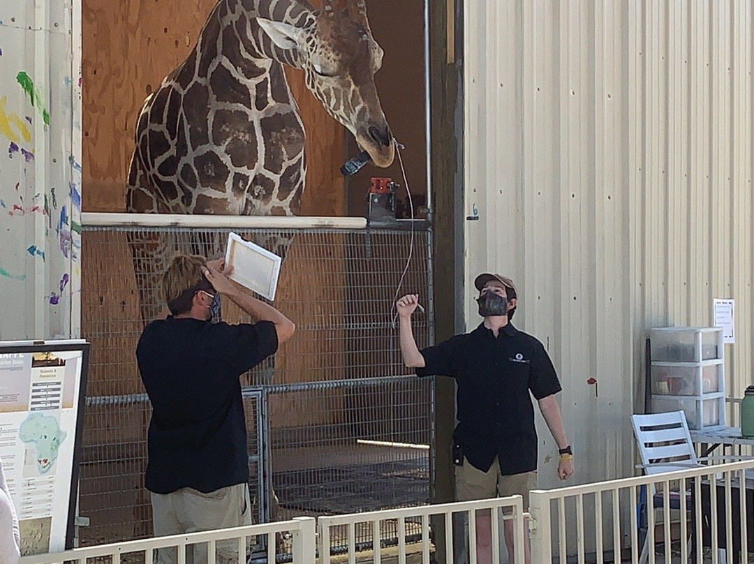 Lion Habitat Ranch-亨德森必去景点