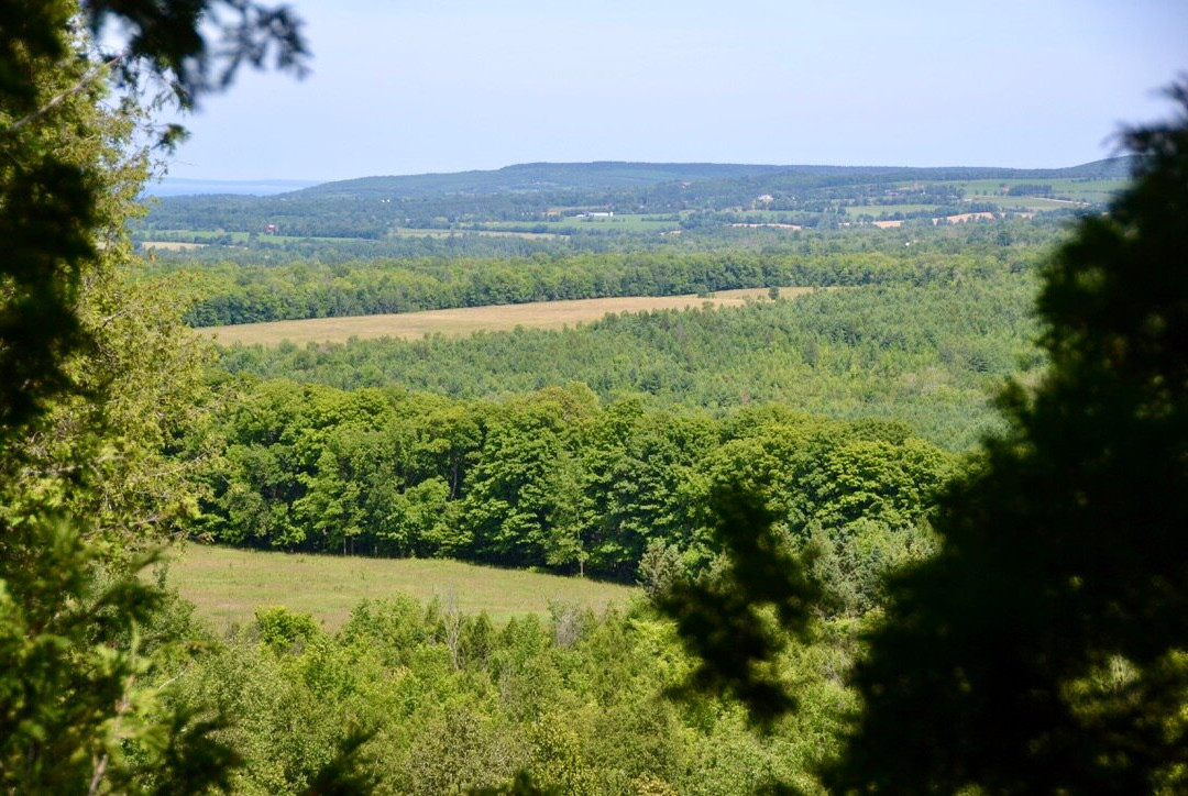 Duncan Escarpment Provincial Nature Reserve-蓝山必去景点