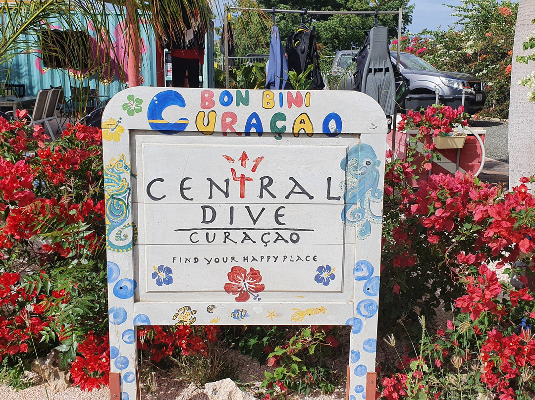 Central Dive Curacao-威廉斯塔德必去景点