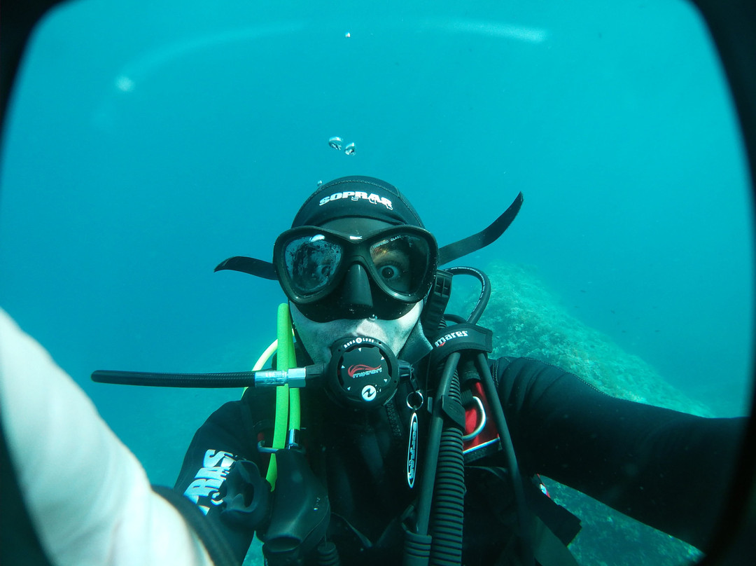Dive4earth Diving center-Terrasini必去景点