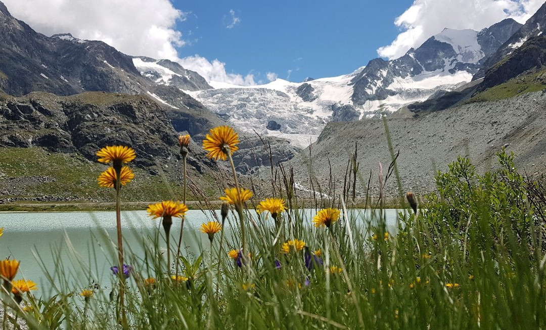 Moiry Glacier景点图片