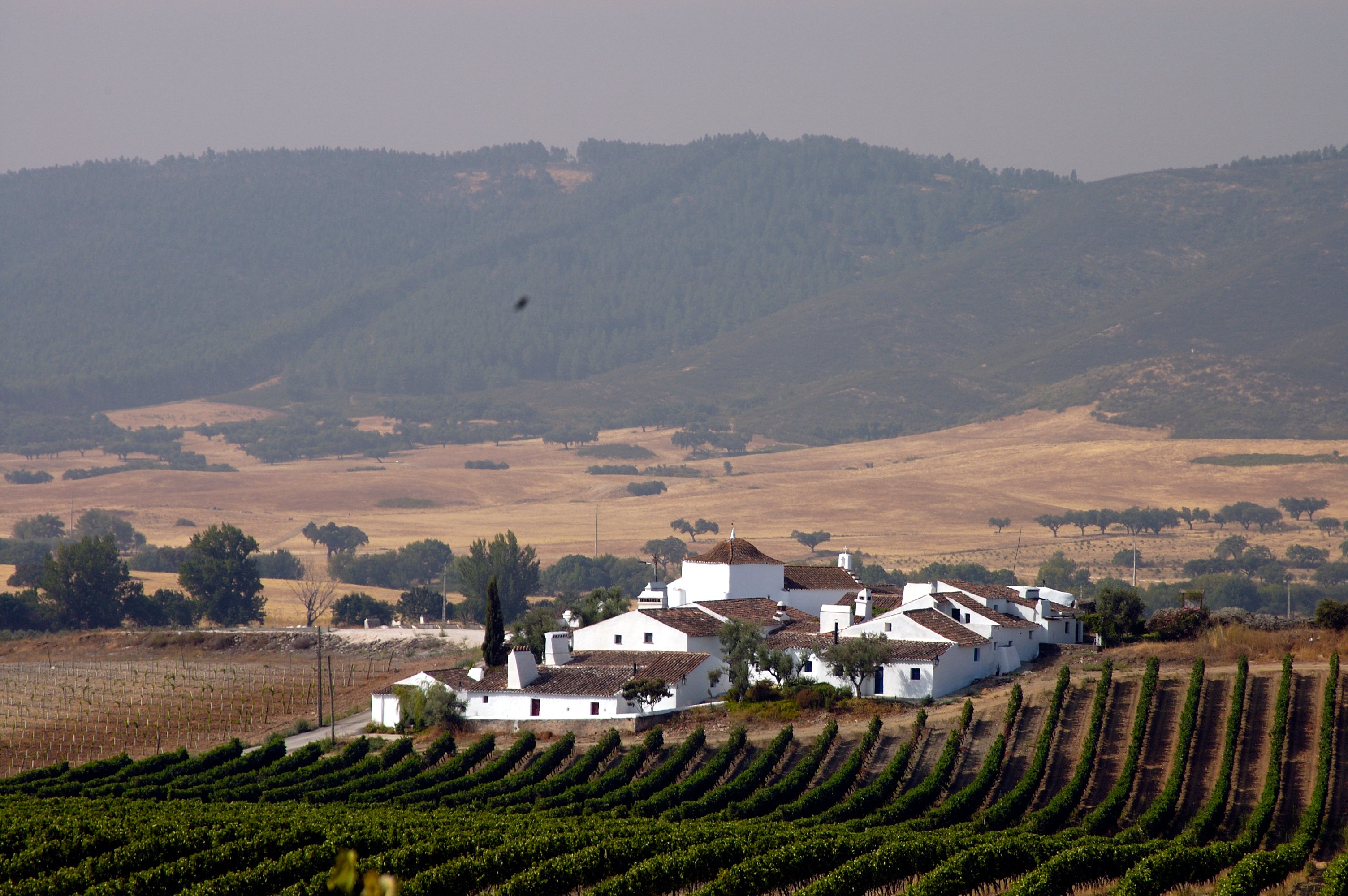 Aldeia De São Gregório-官方