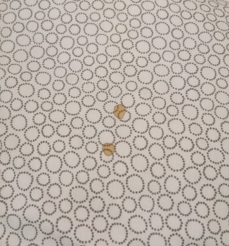 多莫斯公园酒店主图
