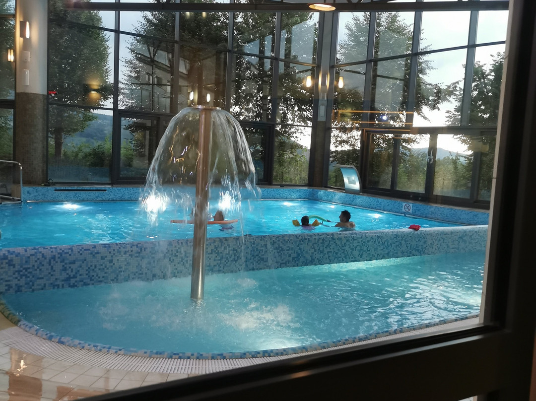 Spa & Wellness Hotel Diament Ustron主图
