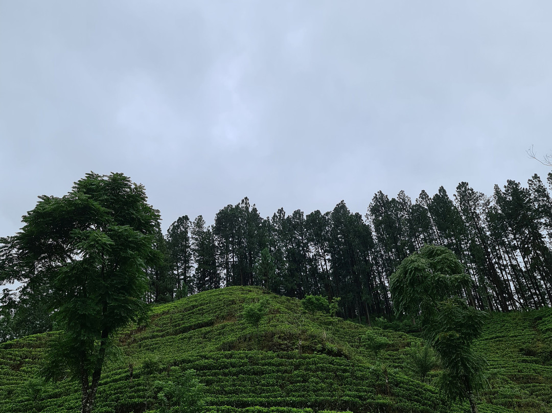 Norton Bridge酒店住宿-Trinitons Tea View Lake Resort