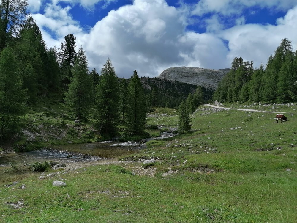 Alpe di Sennes景点图片