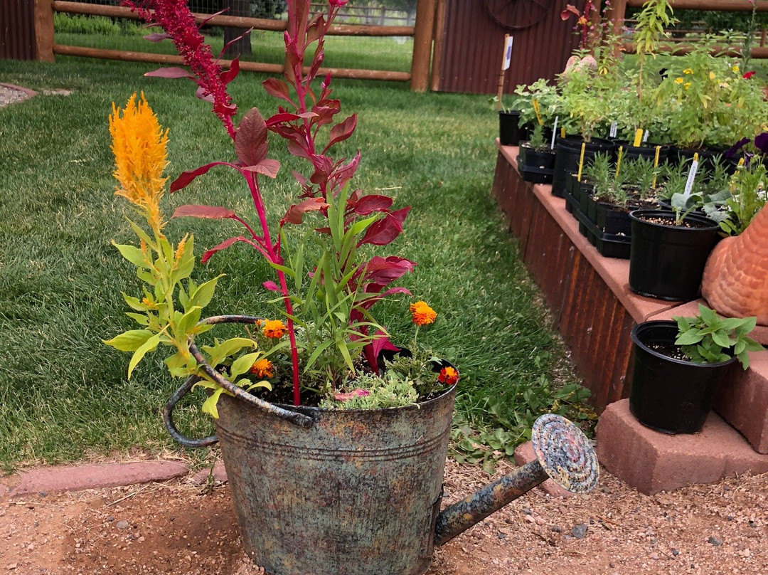 Sage Creations Organic Farm-Palisade必去景点