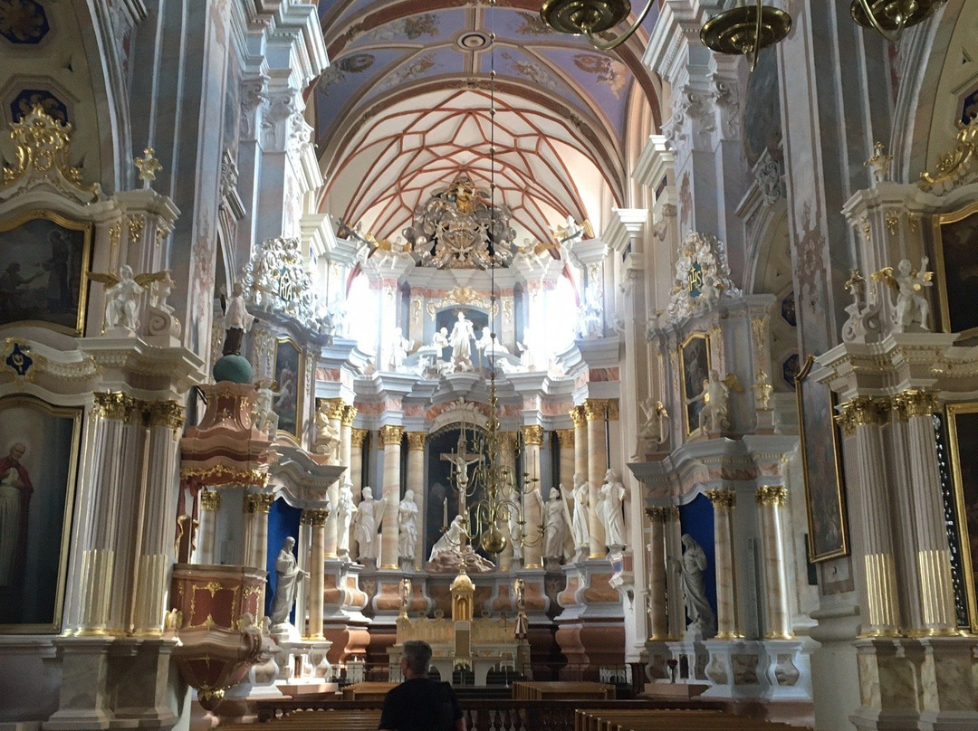 Cathedral of St. Peter and St. Paul-考那斯必去景点