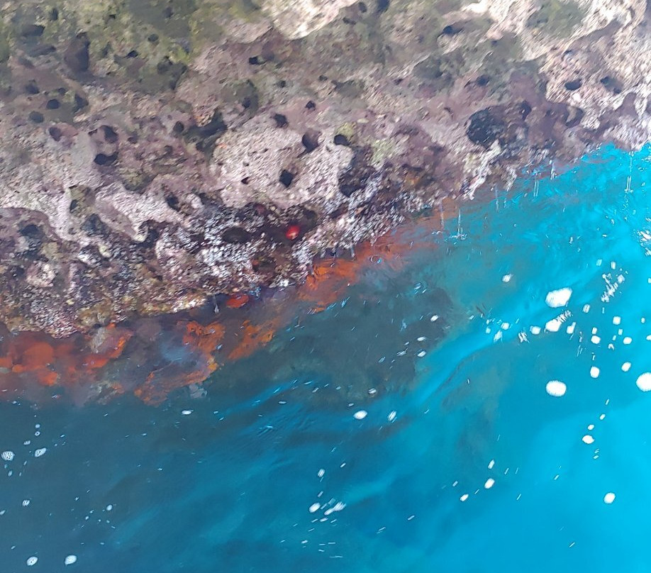 Boat Excursions Taormina-陶尔米纳必去景点