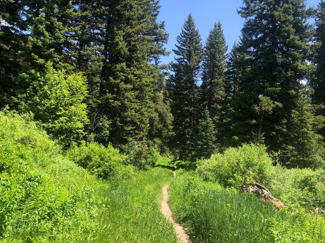 Game Creek Loop-杰克逊必去景点