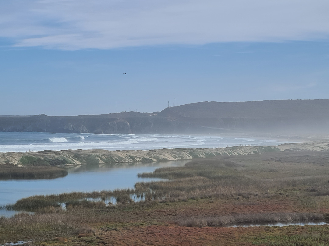 Humedal Laguna Conchali-Los Vilos必去景点