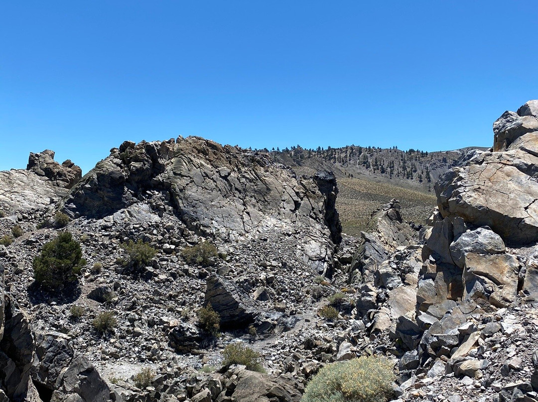 Panum Crater-利韦宁必去景点