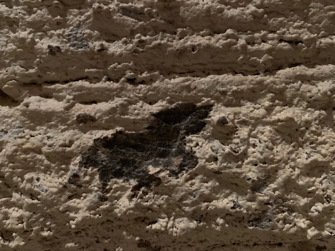 Tyendinaga Cavern and Caves-贝尔维尔必去景点