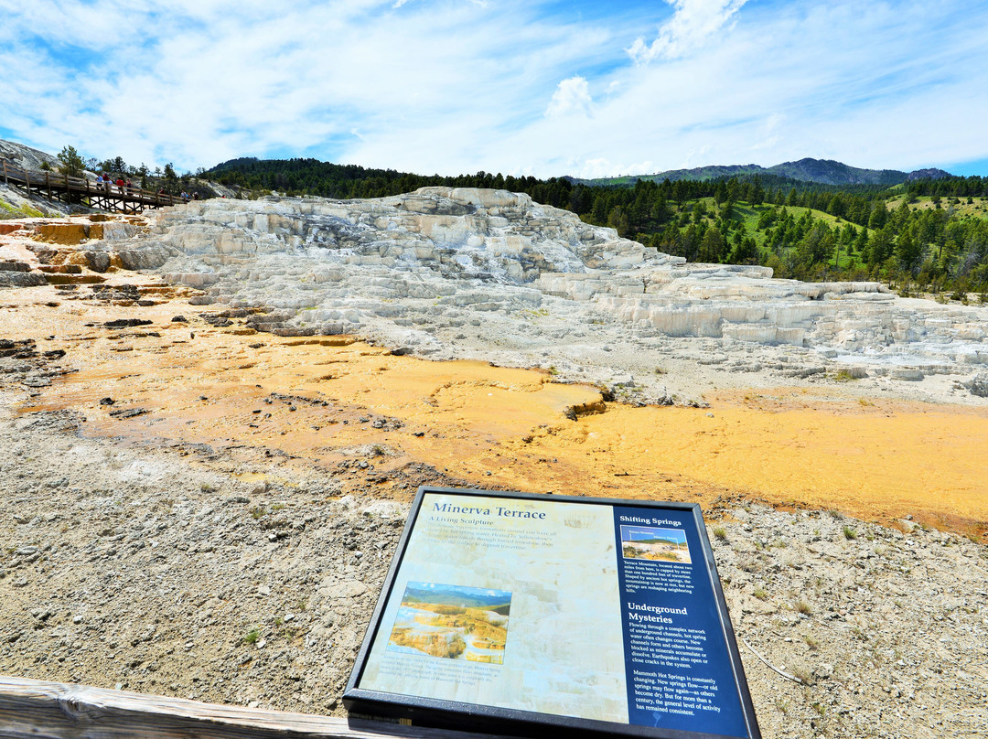 Terrace Mountain-黄石国家公园必去景点