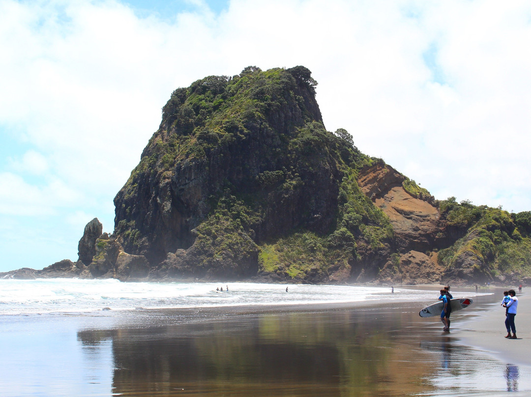 Piha Shuttle Bus景点图片