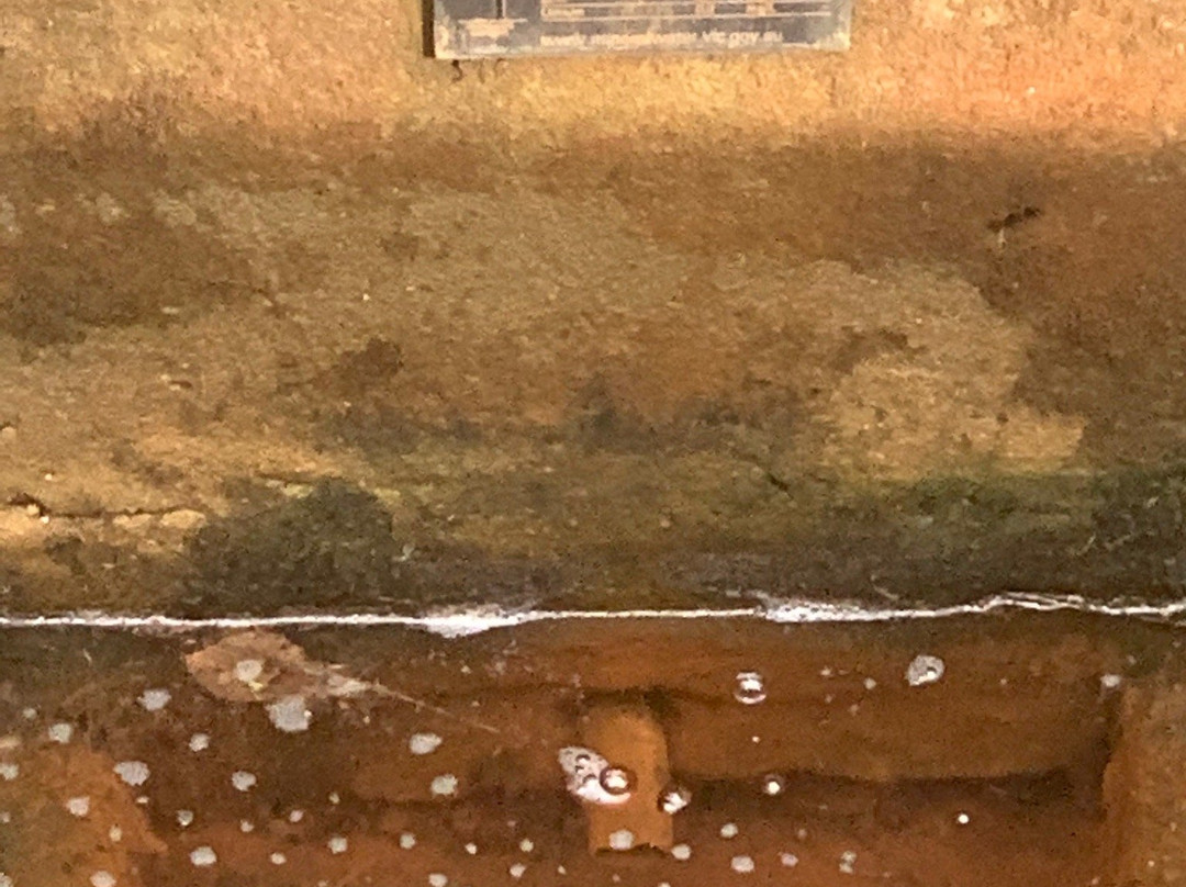 Lyonville Springs-Lyonville必去景点