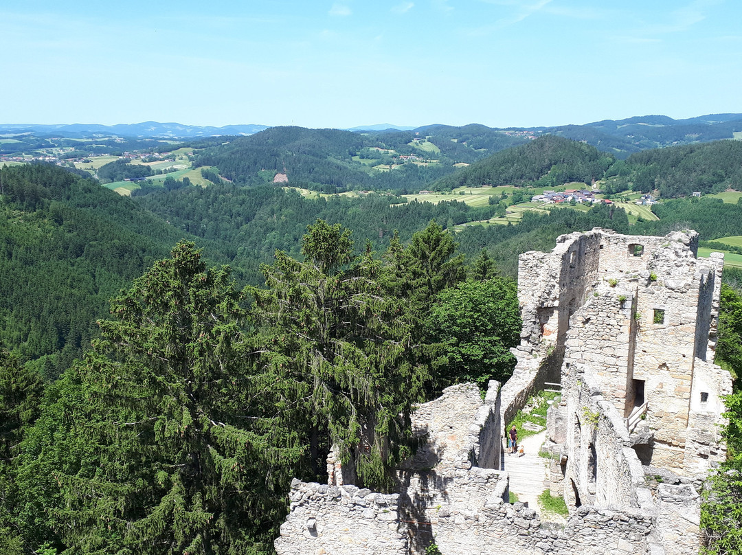 Burgruine Prandegg-Schoenau im Muehlkreis必去景点