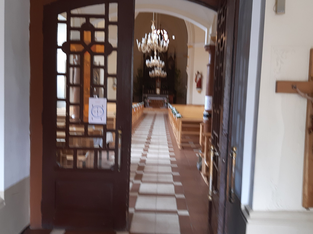 Virgin Anna Roman Catholic Cathedral-叶尔加瓦必去景点
