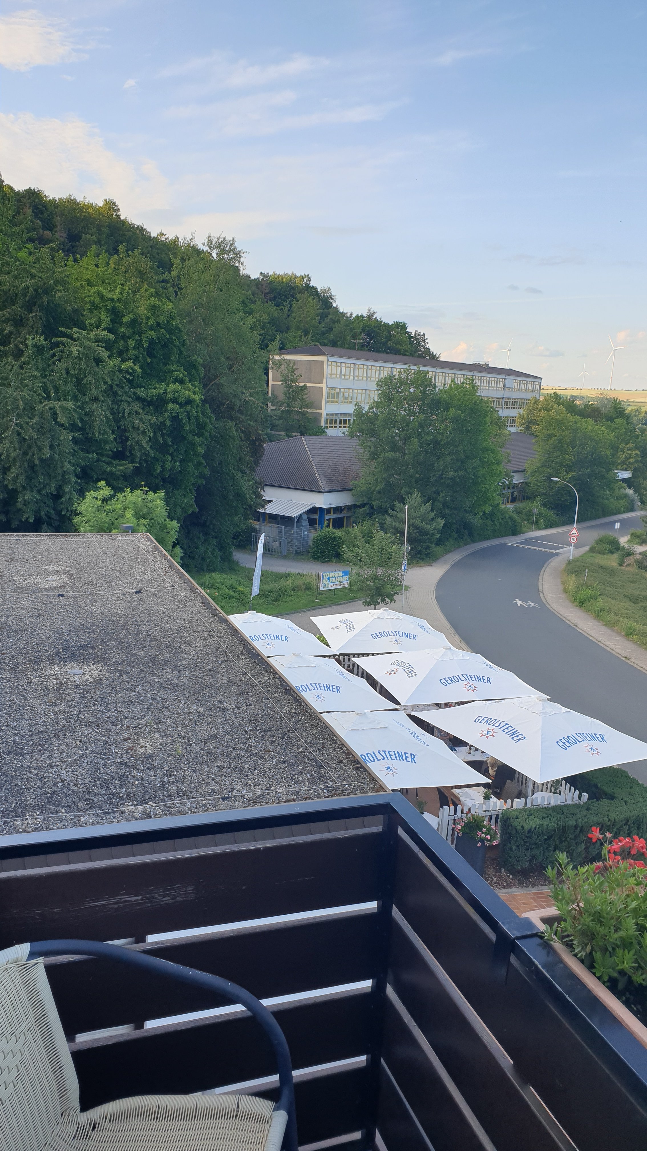 Waldhotel Eisenberg-酒店景观