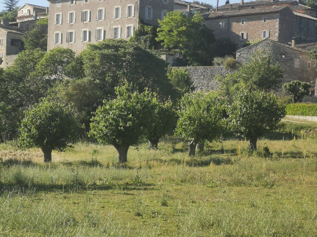 Domaine d'Audabiac主图