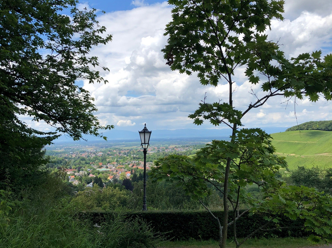 Kur- und Schlosspark Badenweiler景点图片