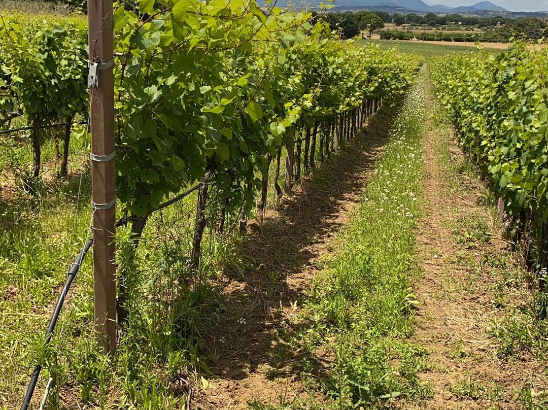 Azienda Agraria Saio-阿西西必去景点