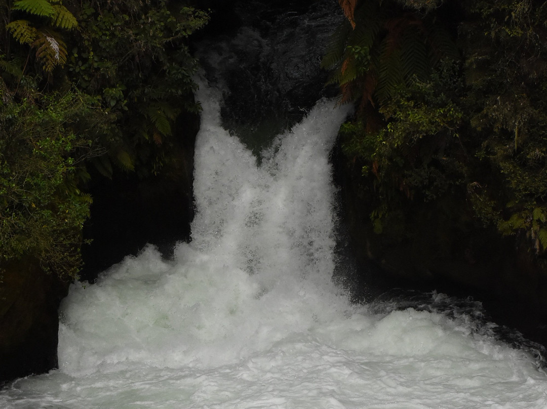 Kaitiaki Adventures景点图片