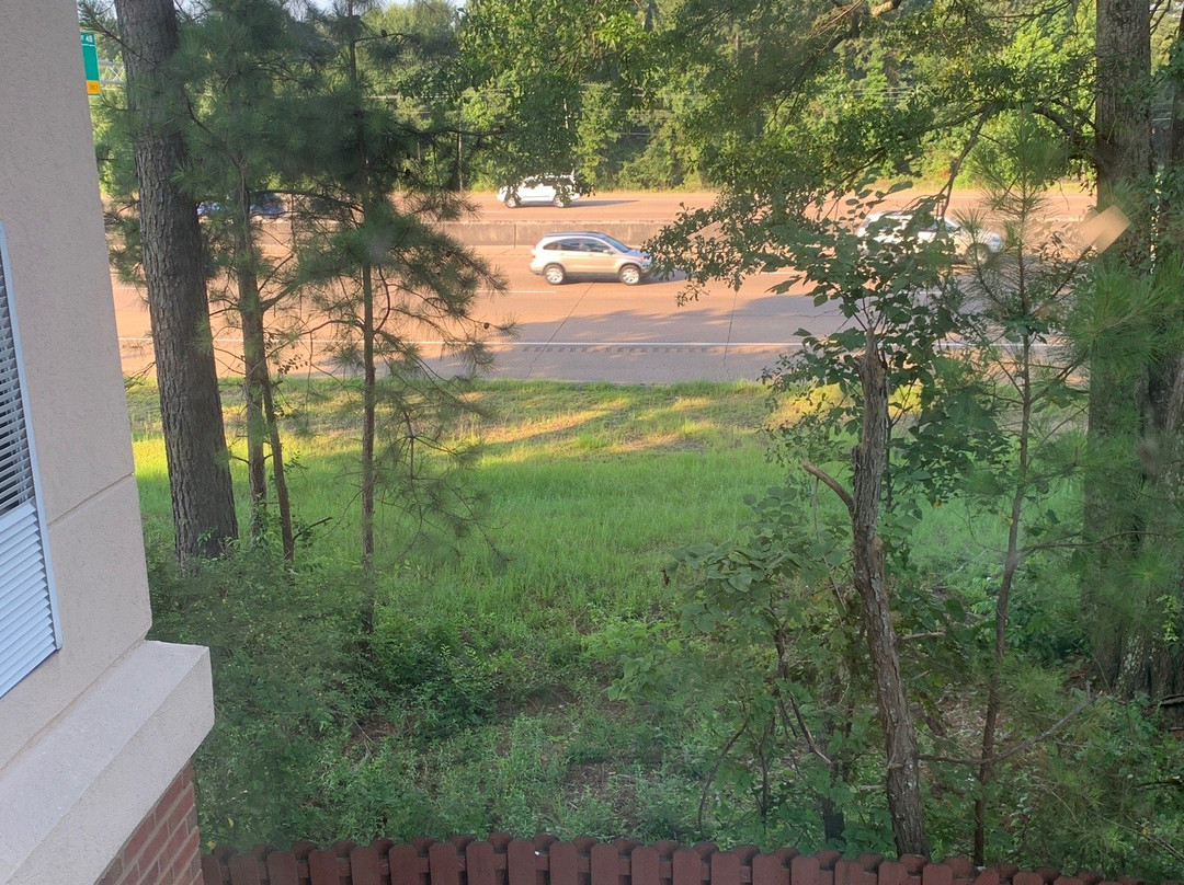 杰克逊/佩尔希尔顿花园酒店主图