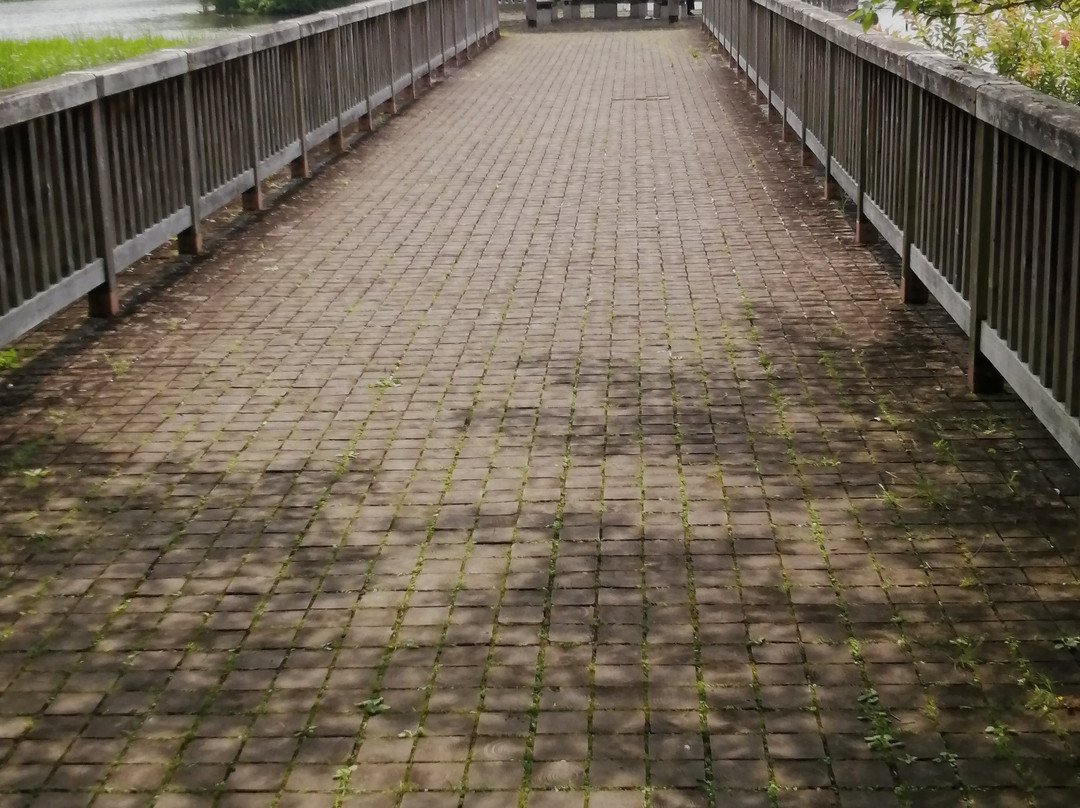 Forest and Park for the 21st Century-松户市必去景点