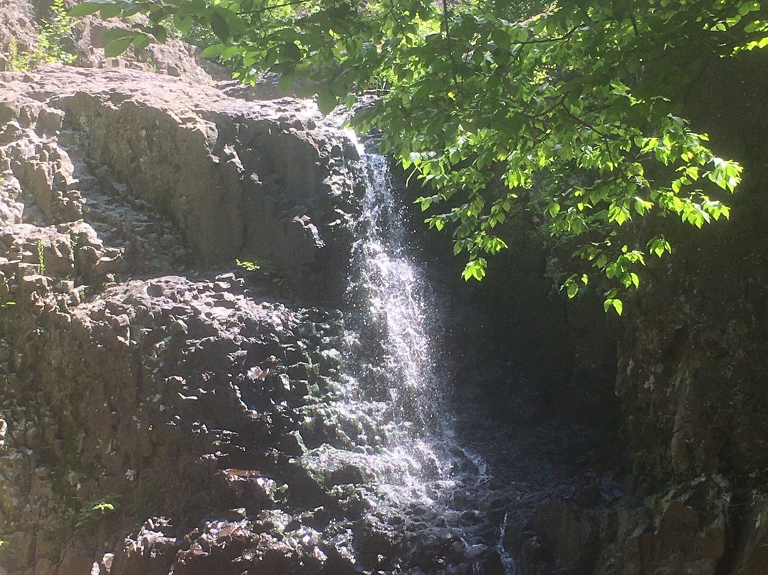 South Mountain Reservation景点图片