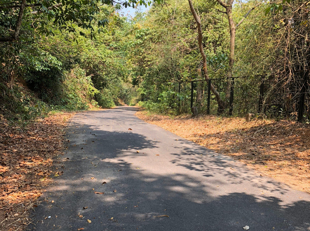 Thenmala Dam景点图片