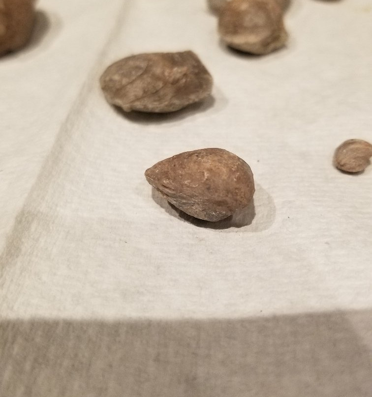 Paleo Site-Payson必去景点