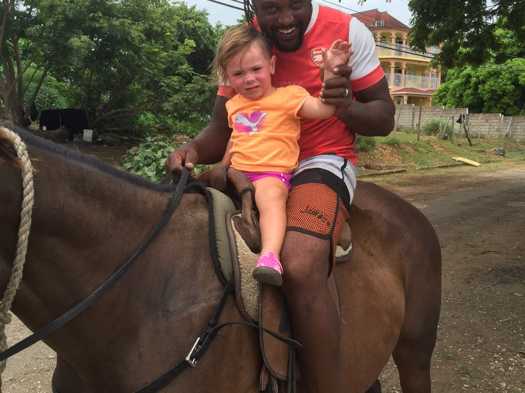 Folkes For Tours Jamaica-奥乔里奥斯必去景点