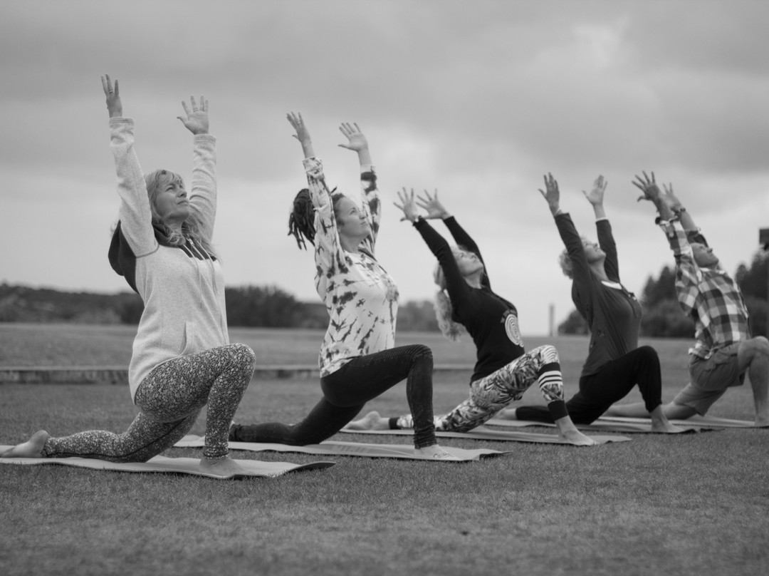 The Joyful Path Yoga and Self Care-维克多港必去景点