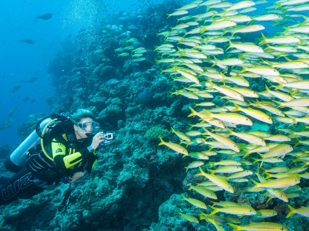 Calypso Reef Imagery Centre