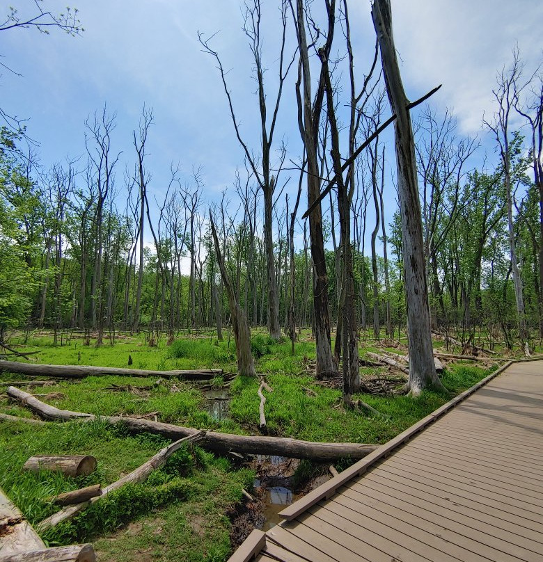 Huff Park-大急流市必去景点