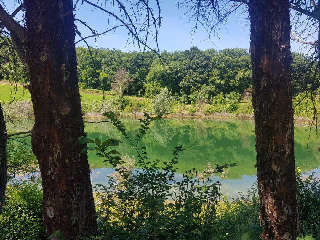 Riserva Naturale Macchia di Gattaceca e Macchia del Barco景点图片