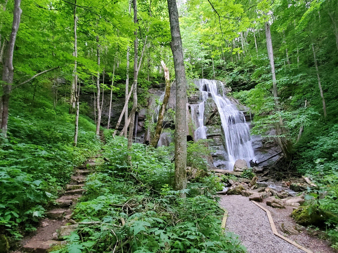 Tank Hollow Falls-Cleveland必去景点