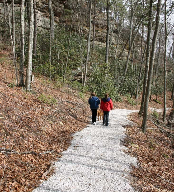 Camp Wildcat Battlefield-London必去景点
